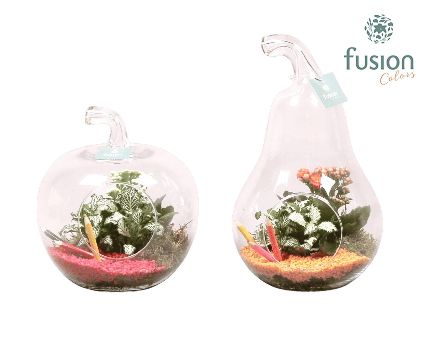 Peer en Appel glas met kamerplanten back to school, D 20