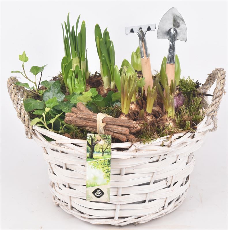 Wilg mand rond wit 25cm, D 25