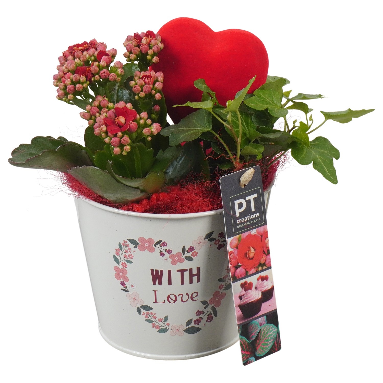 PTVMB2361 Arrangement Valentines-Mothersday in zink sierpot, D 12