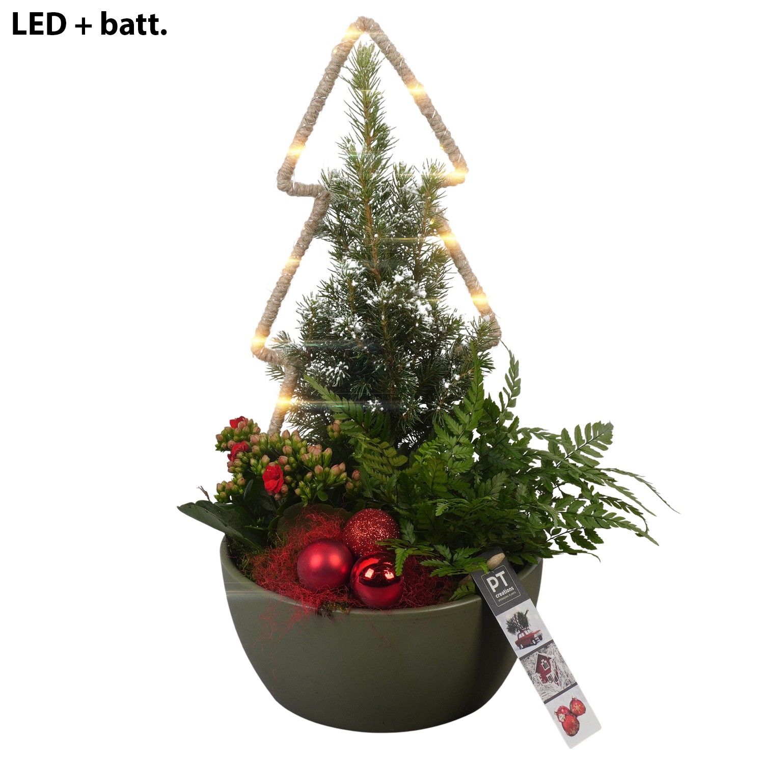 PTCHR7258 Arrangement Christmas Red in keramiek schaal, D 18 cm