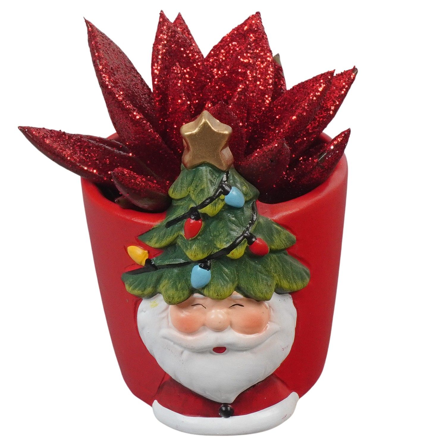 PTCHR7268 Arrangement Christmas Red in keramiek pot, D 7 cm