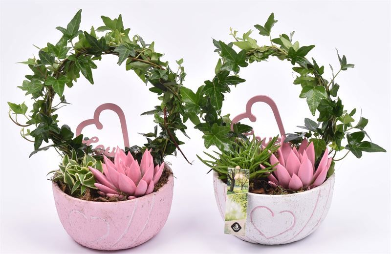 Cement schaal hart decor mix 16cm, D 16