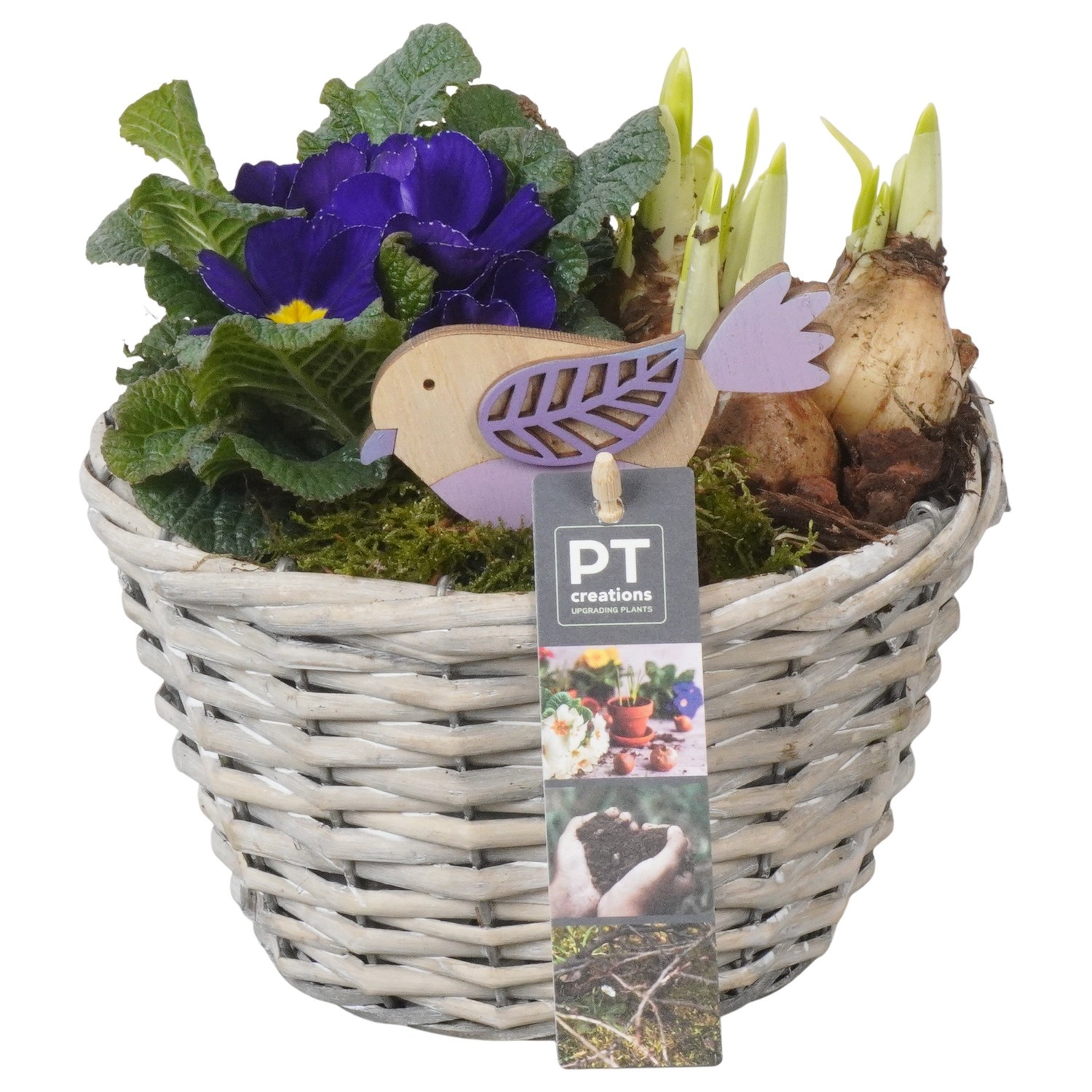 PTBM3846 Arrangement Flower Bulbs Mix in rieten mand, D 18