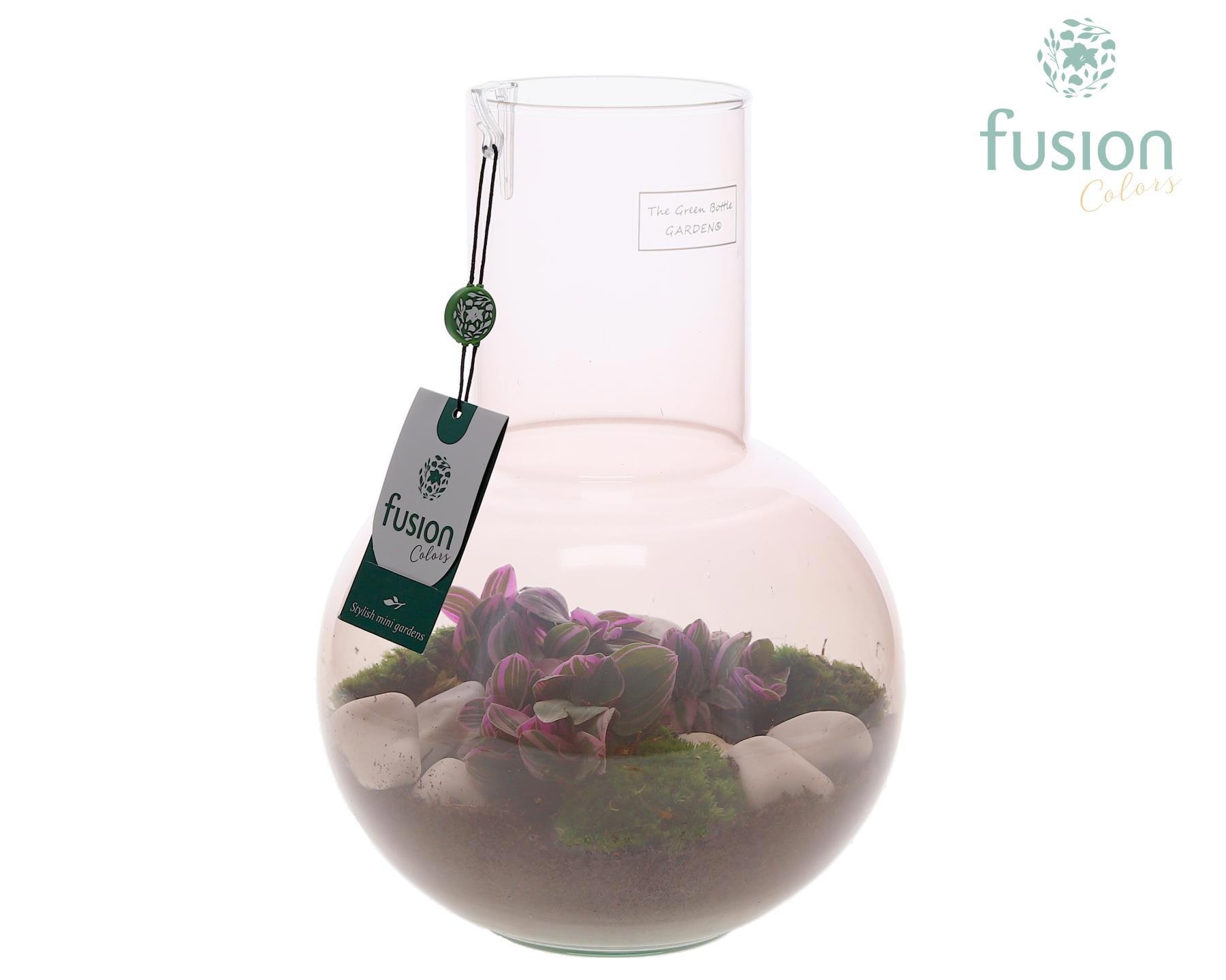 Green Bottle Suzanne Medium Smoky Pink met Tradescantia, D 21