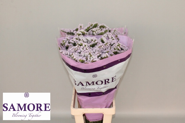 Статица Тесса Лавендер 80, шт.