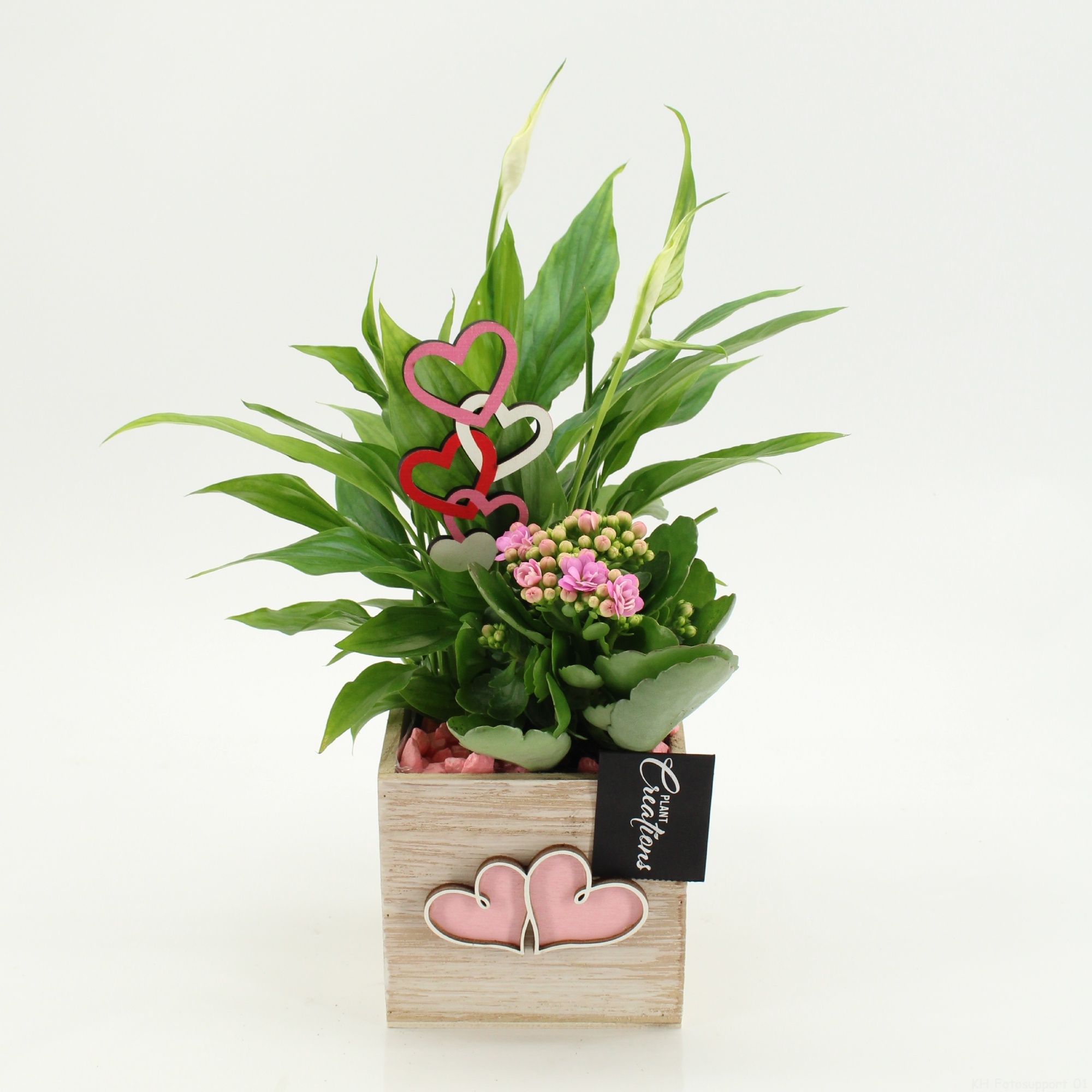 RMCR-2622RZ Romantic Essentials, D 11