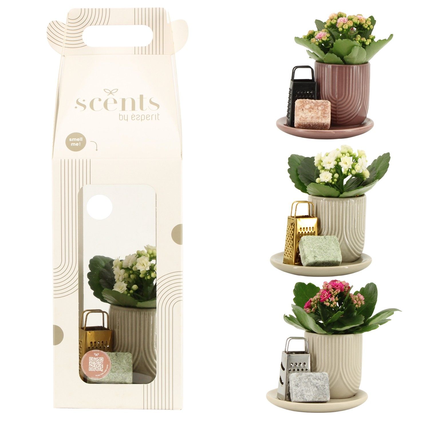 90758: Scents arrangement, D 12,5