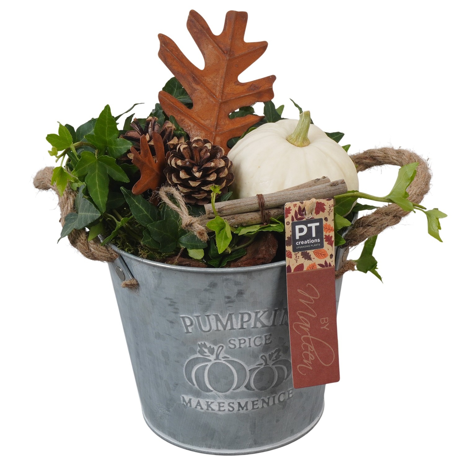 PTSF8223 Arrangement Kalebas hedera in metalen pot, D 16 cm