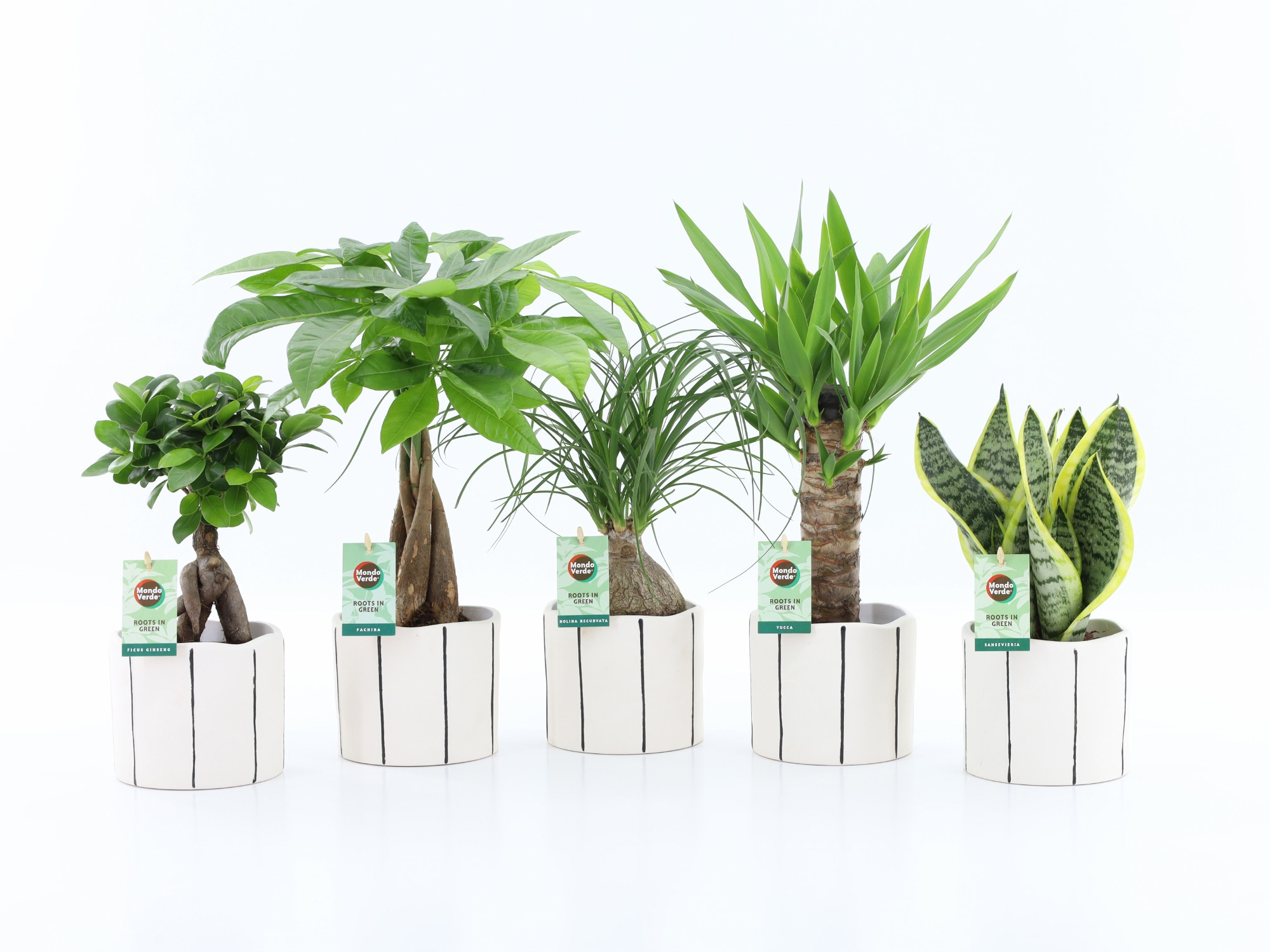 Easy to Care Mix in Banksy keramiek, D 13 cm