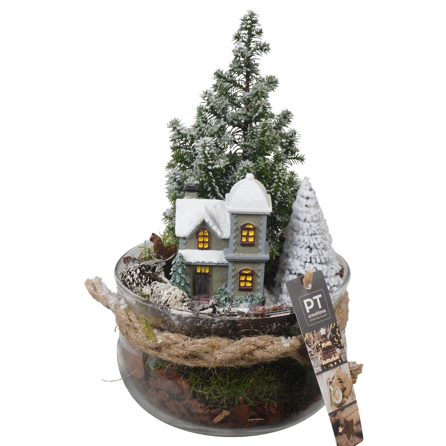 PTCWW6823 Arrangement Winter in glas schaal, D 16 cm