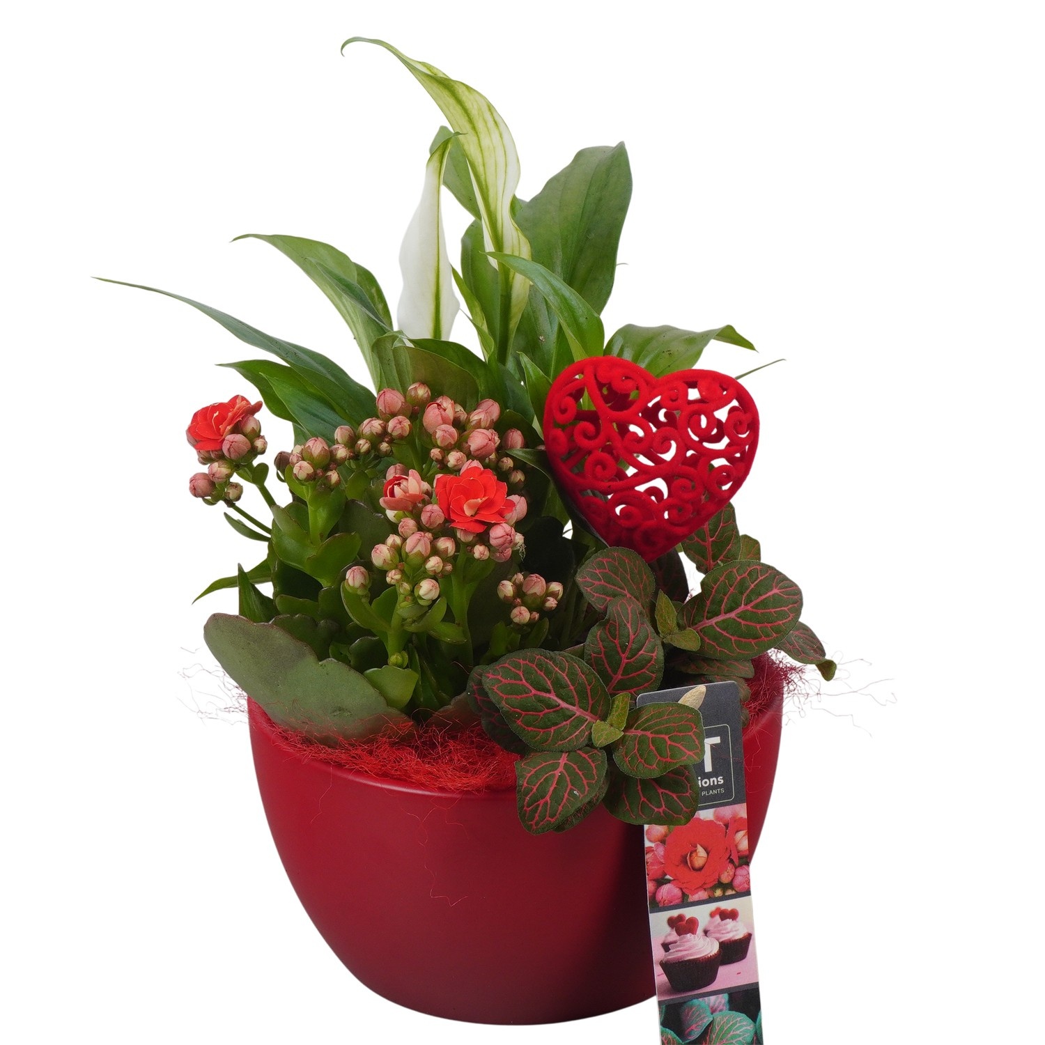 PTVMB2204 Arrangement Valentines-Mothersday in keramiek schaal, D 15