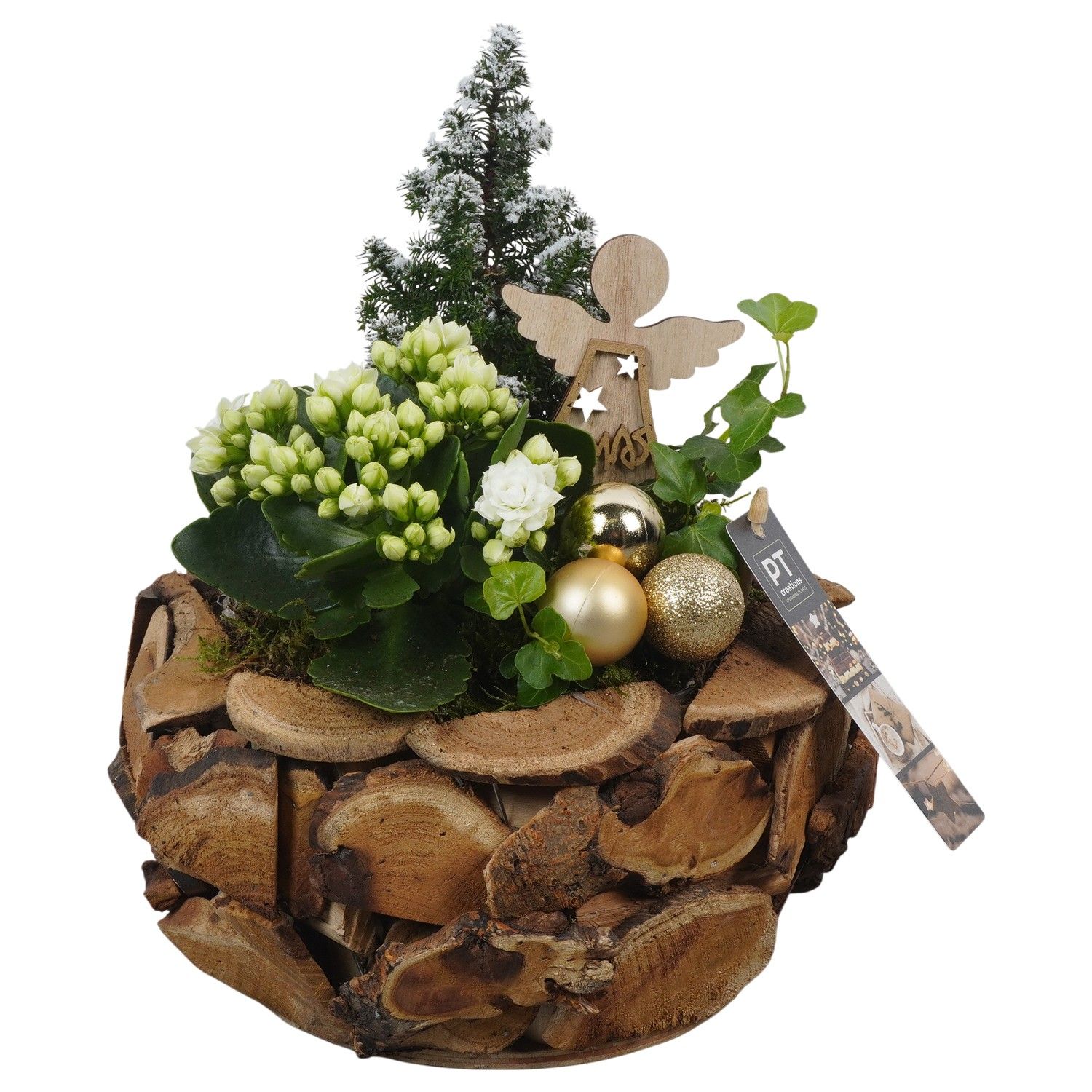 PTCHG5682 Arrangement Christmas Gold in houten pot, D 24 cm