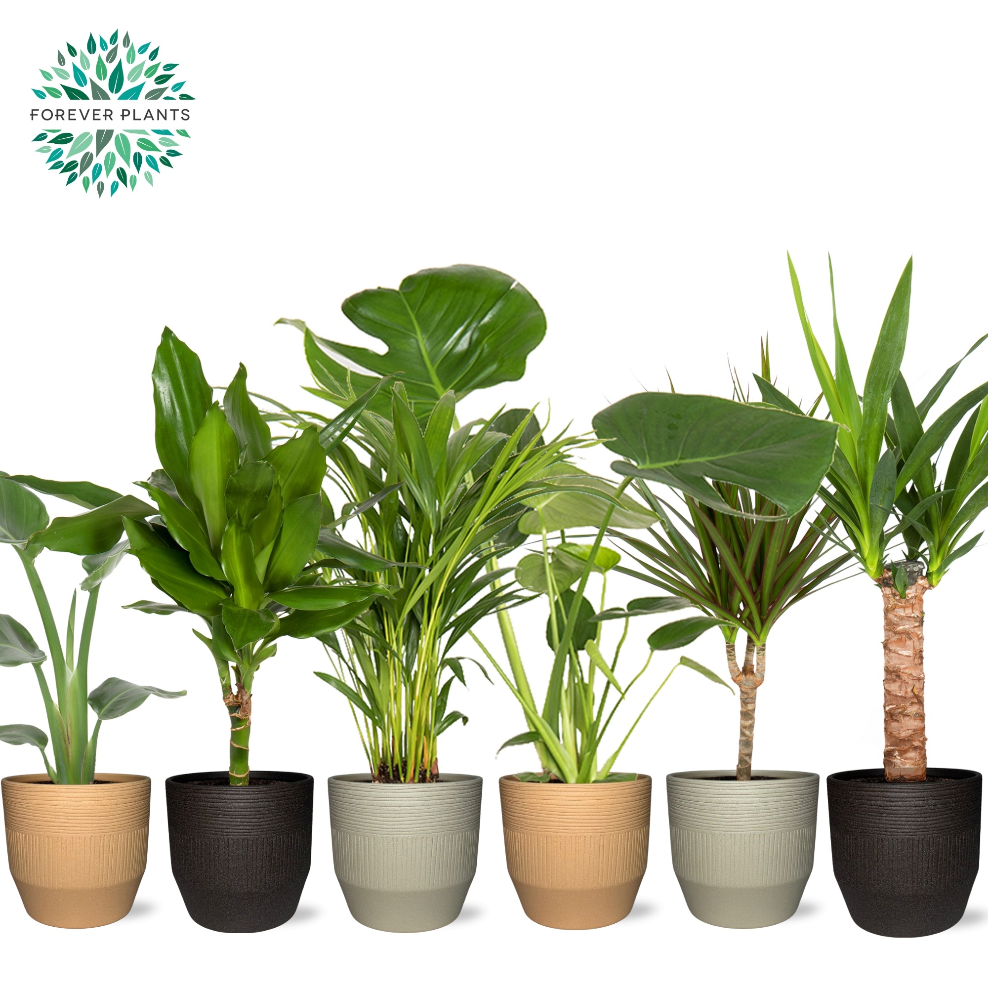 Groen Mix p14 in TIRZA Keramiek, D 14