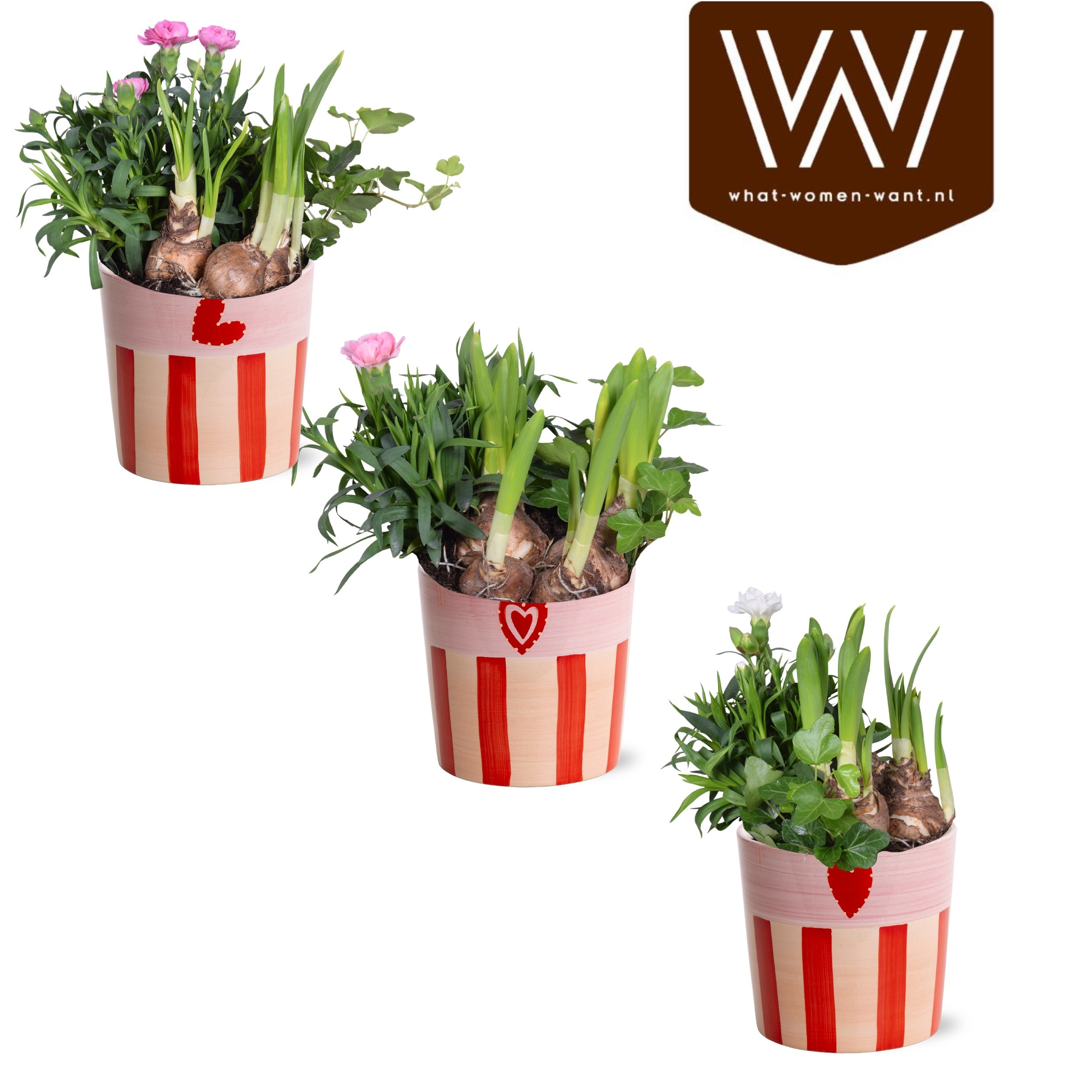 Collectie 'Sympathetic Moods' Arrangement in Keramiek Romee, D 12