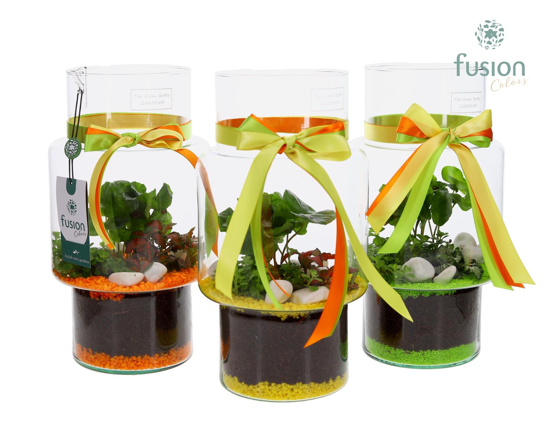 Green Bottle Sara Medium met Arrangement, D 16