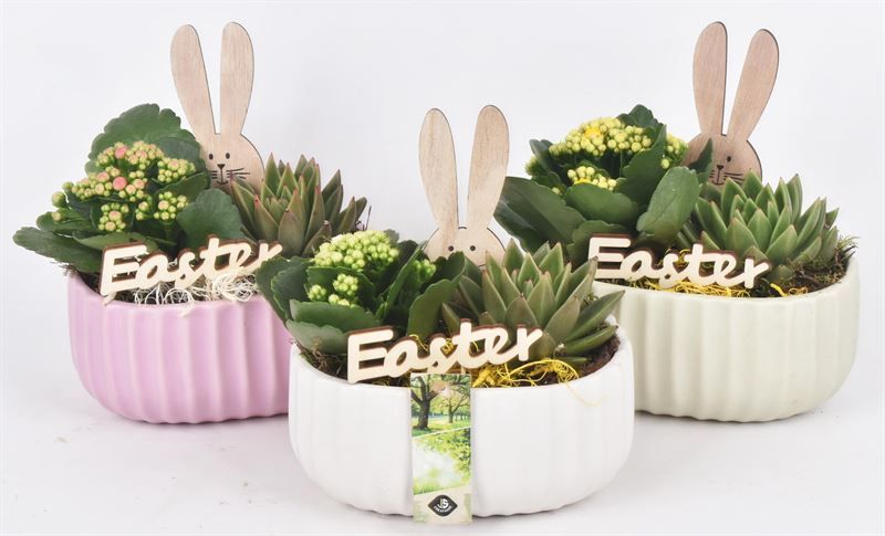 Keramiek ovaal mix kleur 18,5x12cm, D 18