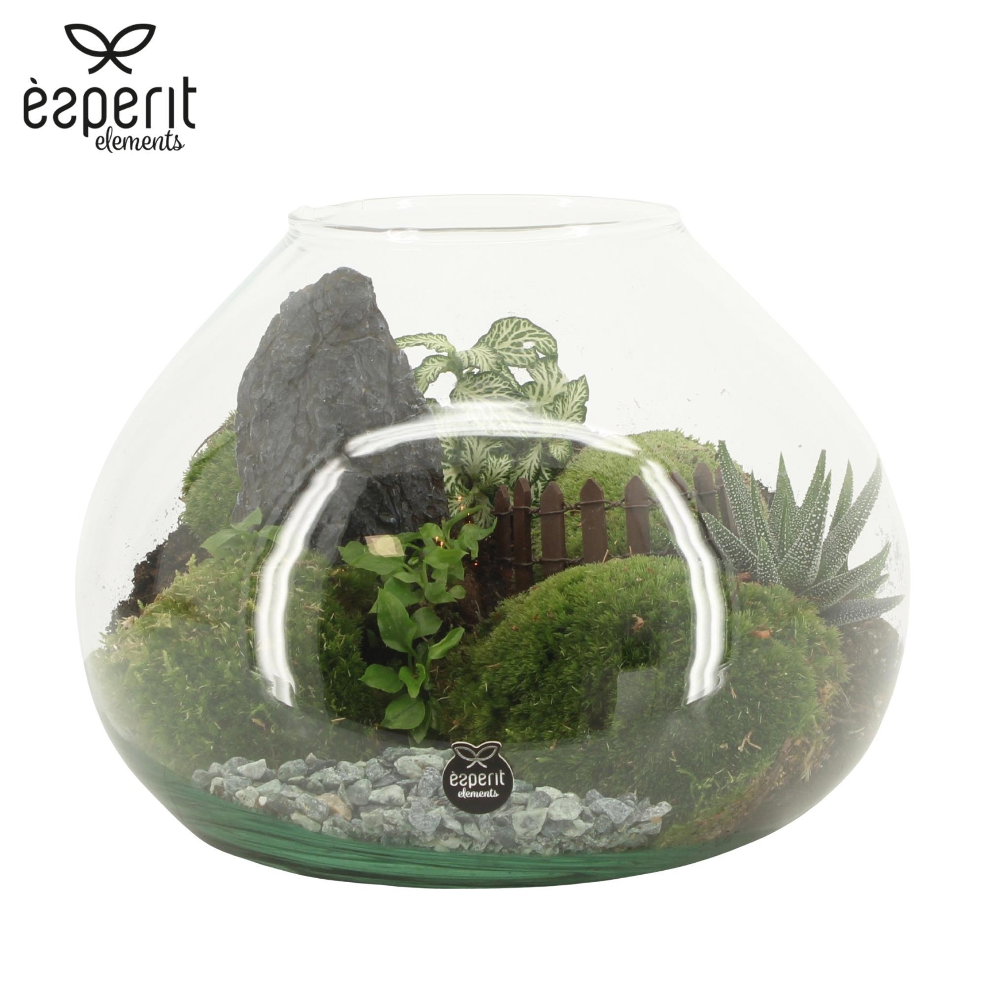 90762: Landscape arrangement, D 25 cm 90762: Landscape arrangement, D 25 cm