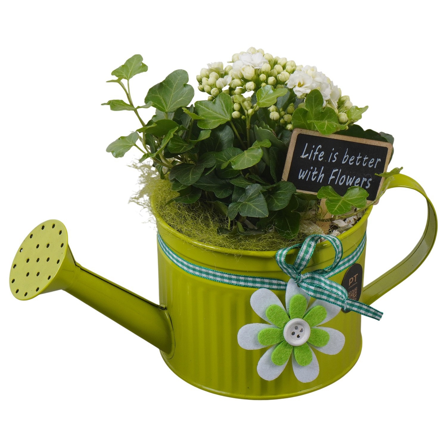 PTIB5312 Arrangement Indoor in metalen gieter, D 12