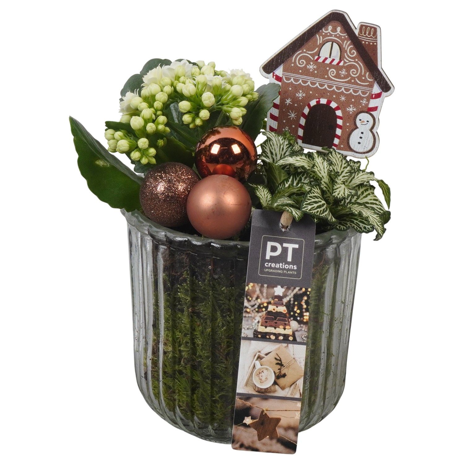 PTCHB9824 Arrangement Christmas Bronze in glazen pot, D 12 cm