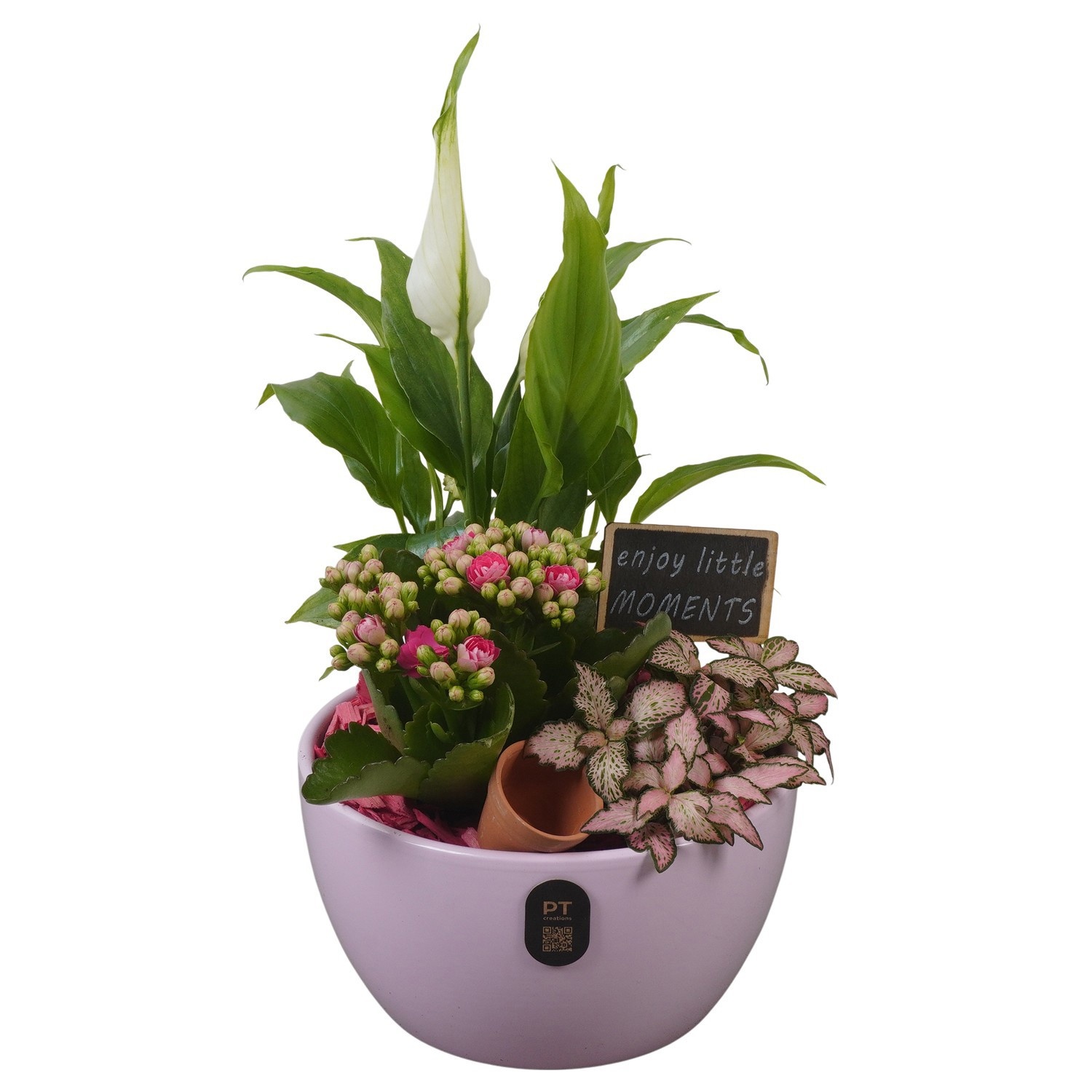 PTIB5134 Arrangement Indoor in keramiek schaal, D 15