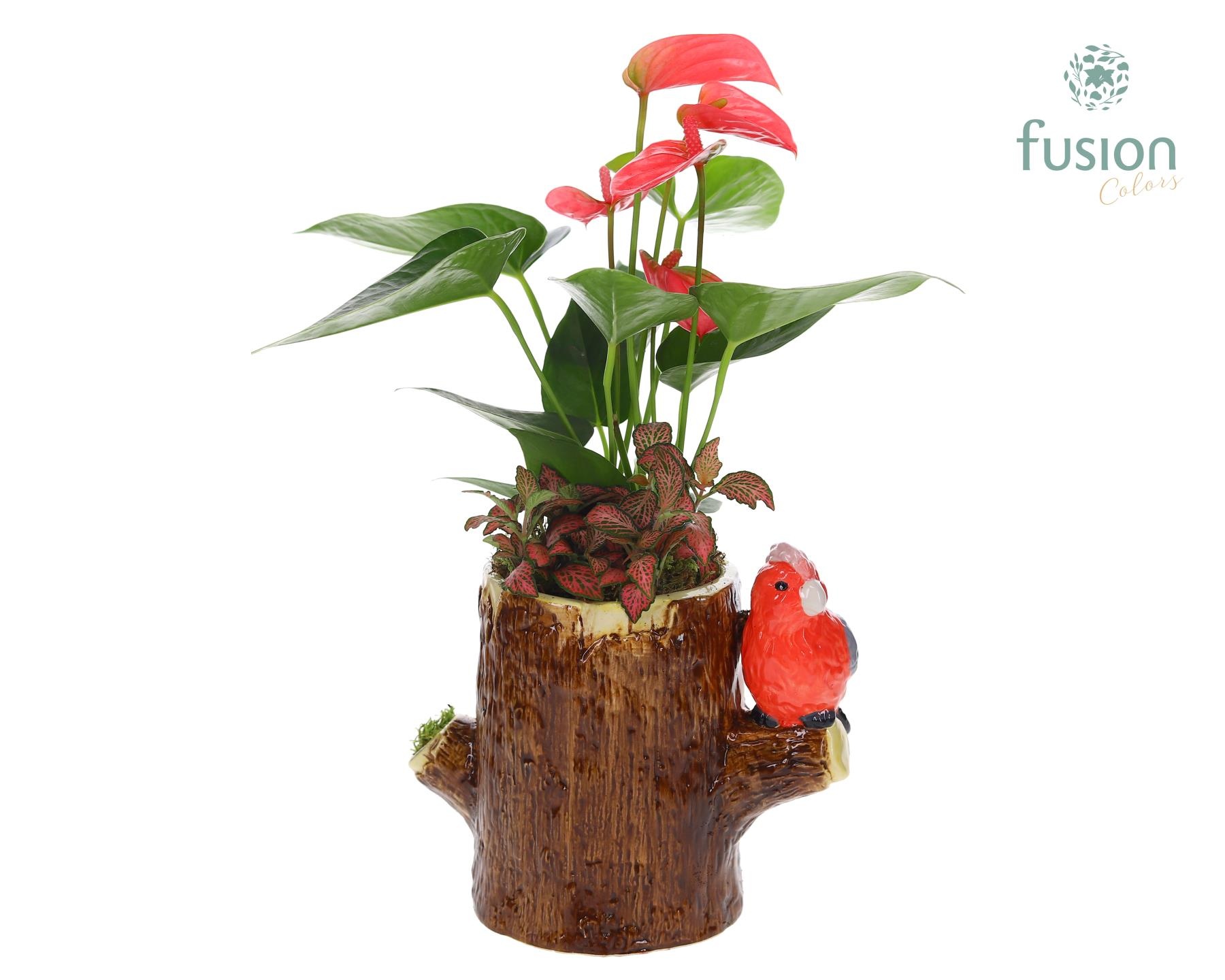 Keramiek boomstam planter met Arrangement, D 19 cm Keramiek boomstam planter met Arrangement, D 19 cm