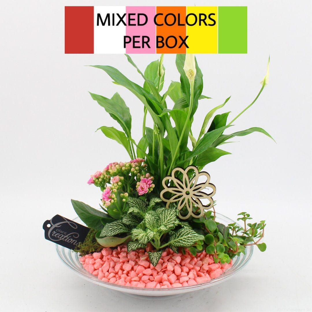 FDCR-2600M Basic fundamentals, D 30