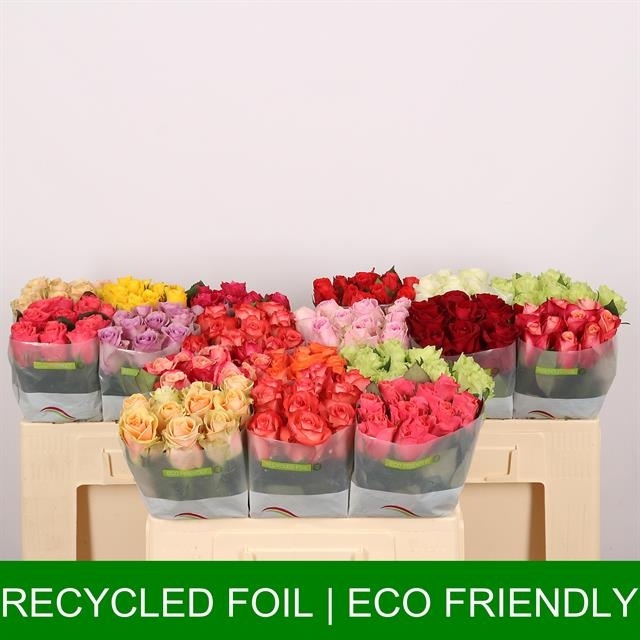 Роза од. Микс в баке 50, шт.
