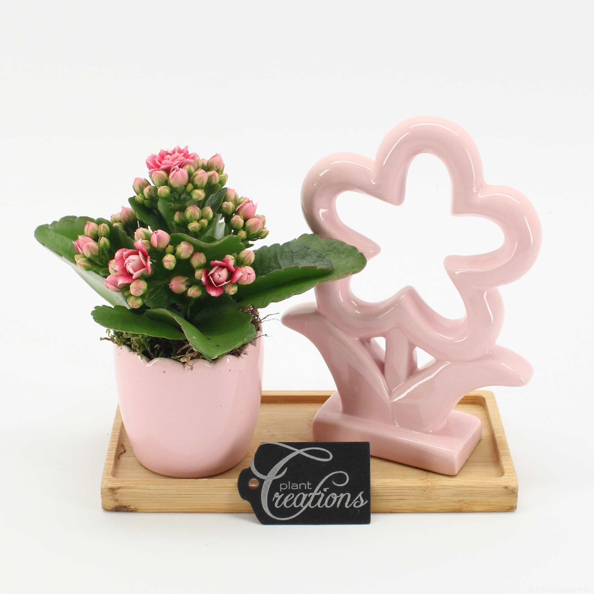 ENMD-2601 English Mother's day, D 19