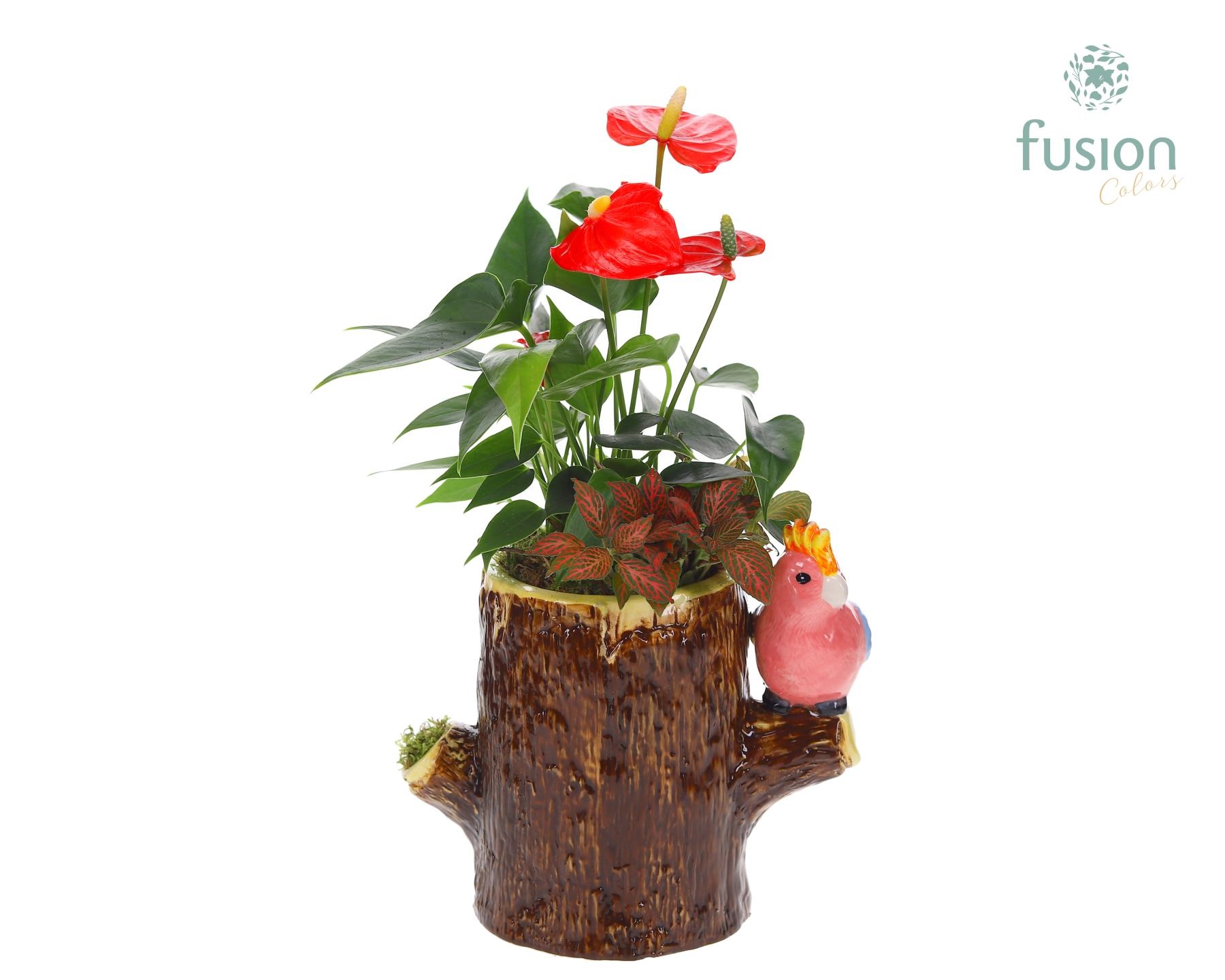 Keramiek boomstam planter met Arrangement, D 19 cm Keramiek boomstam planter met Arrangement, D 19 cm