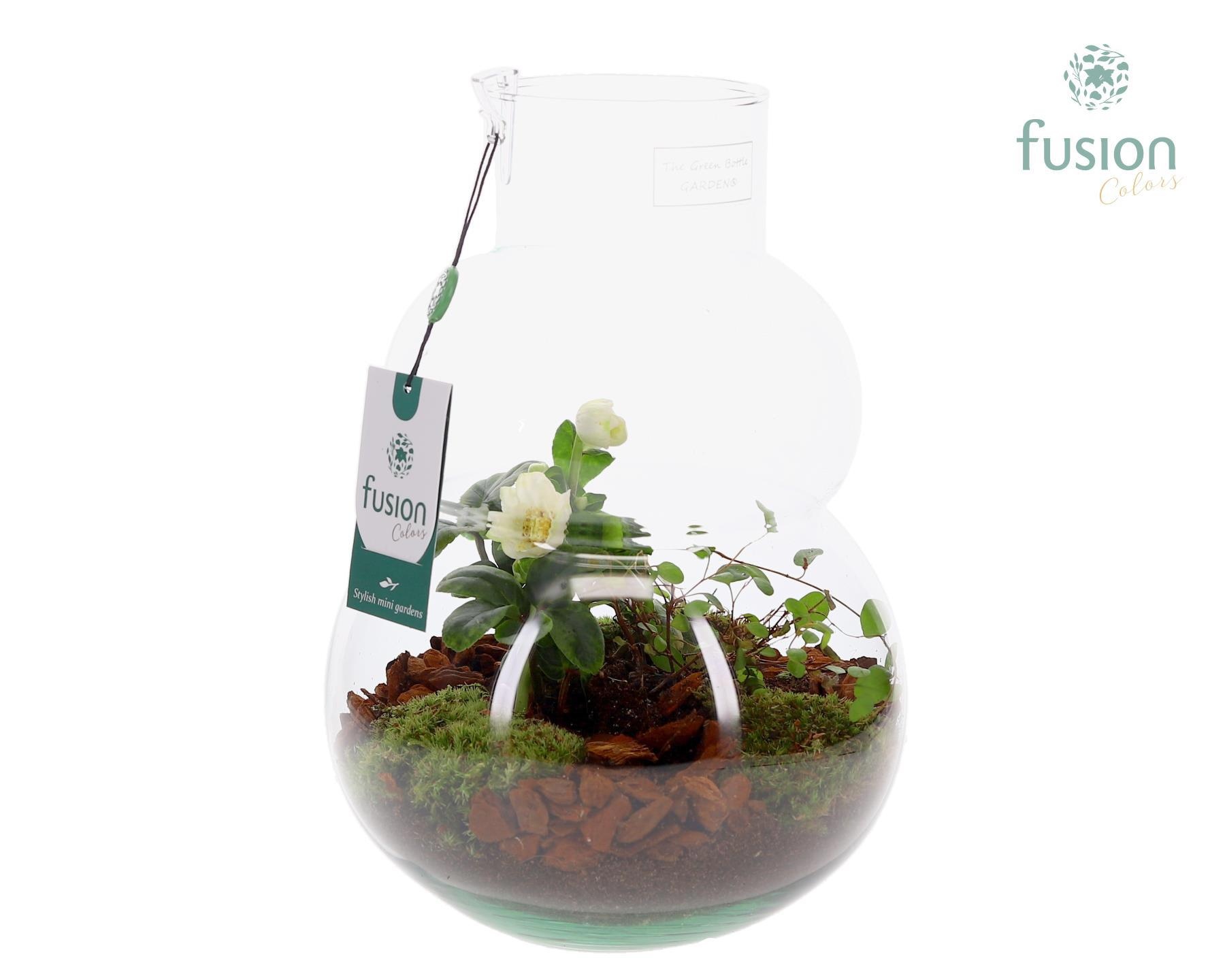Green Bottle Olaf Medium met Arrangement, D 21 cm Green Bottle Olaf Medium met Arrangement, D 21 cm