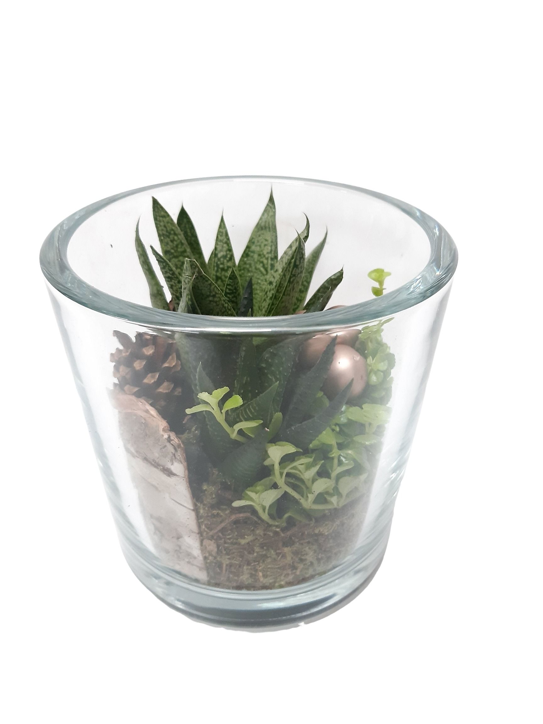 GCI14GMXKST Cil glas dik mini groenmix kerst, D 14 cm GCI14GMXKST Cil glas dik mini groenmix kerst, D 14 cm
