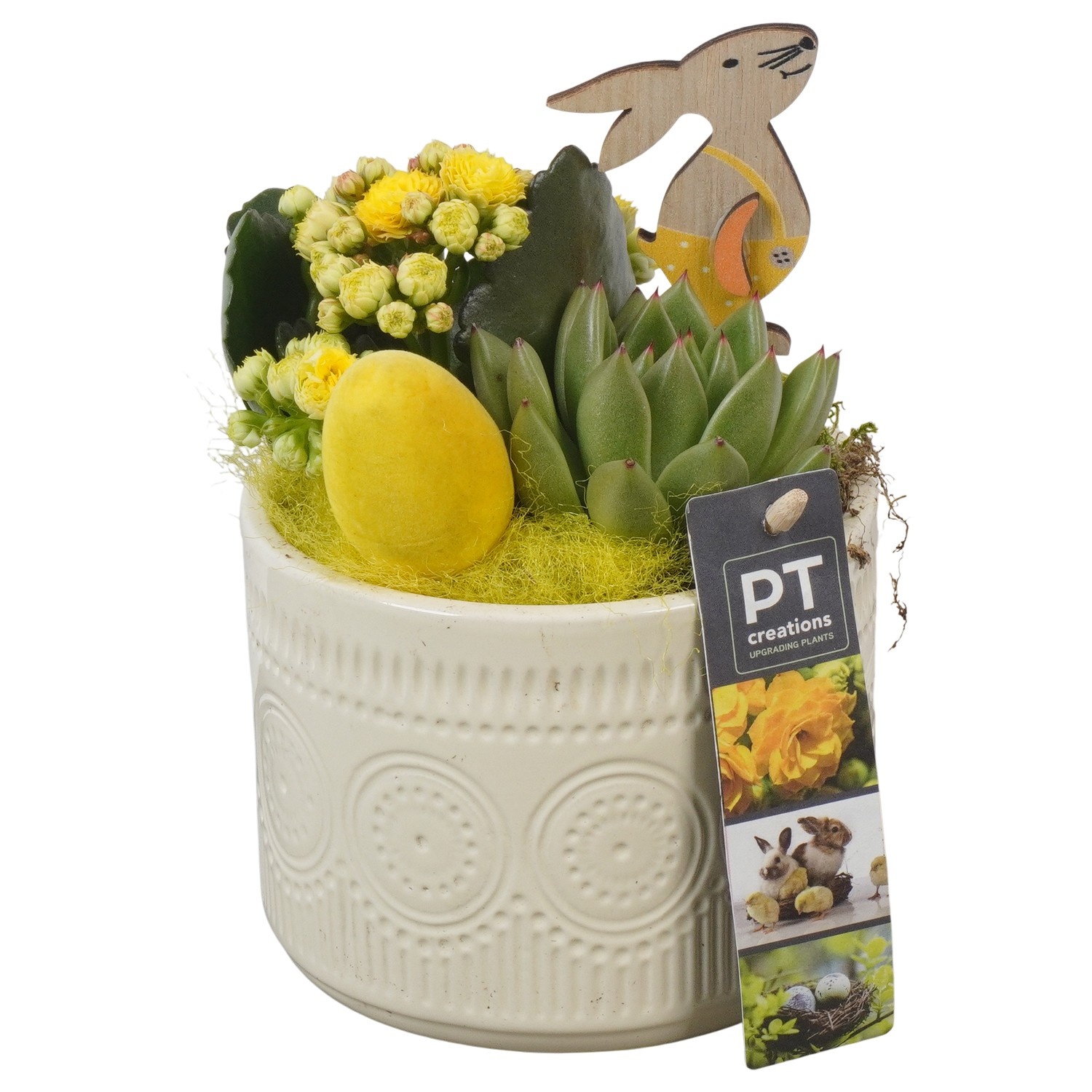 PTPB6467 Arrangement Easter in keramiek pot, D 12