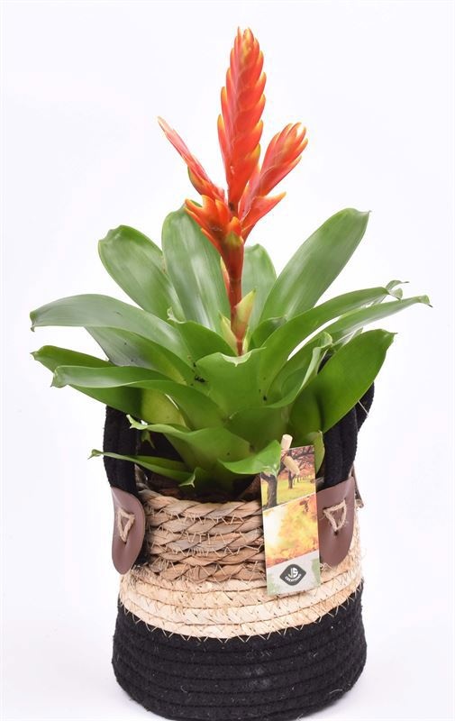 Touwmand met leerhand. zwa/wi 14cm, D 14