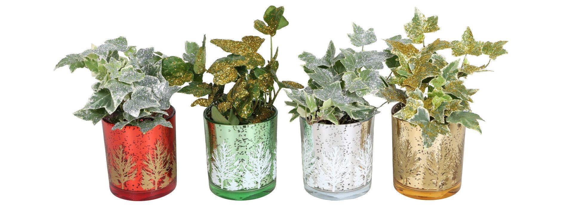 L 67436 With Hedera Helix Mix Glitter 6 cm, D 6 cm L 67436 With Hedera Helix Mix Glitter 6 cm, D 6 cm