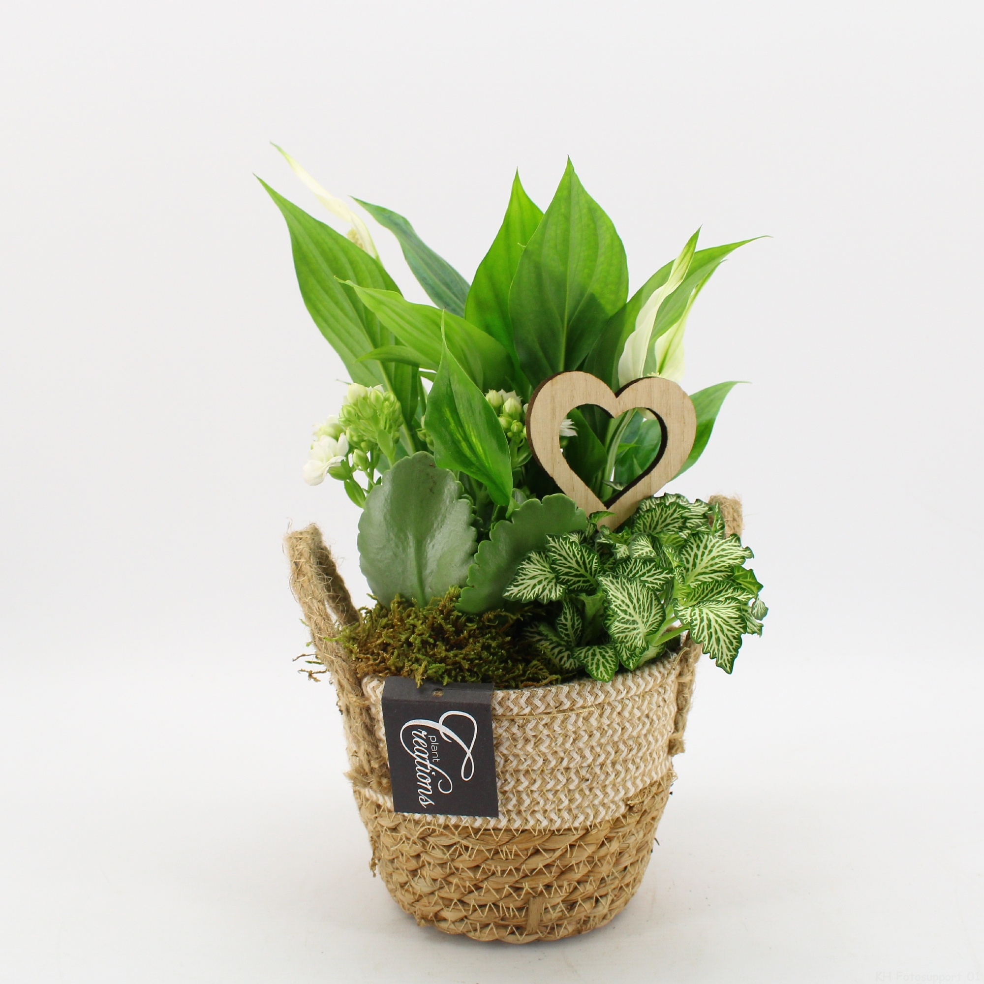 FDRM-2617W Romantic Fundamentals, D 14