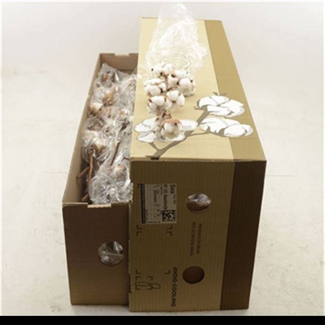 Хлопок Вайт 75, шт.