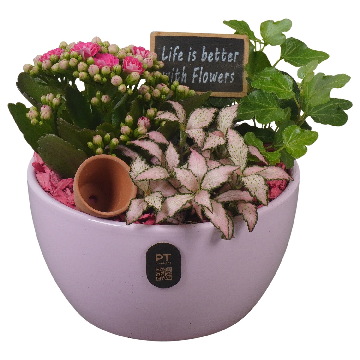 PTIB5133 Arrangement Indoor in keramiek schaal, D 16