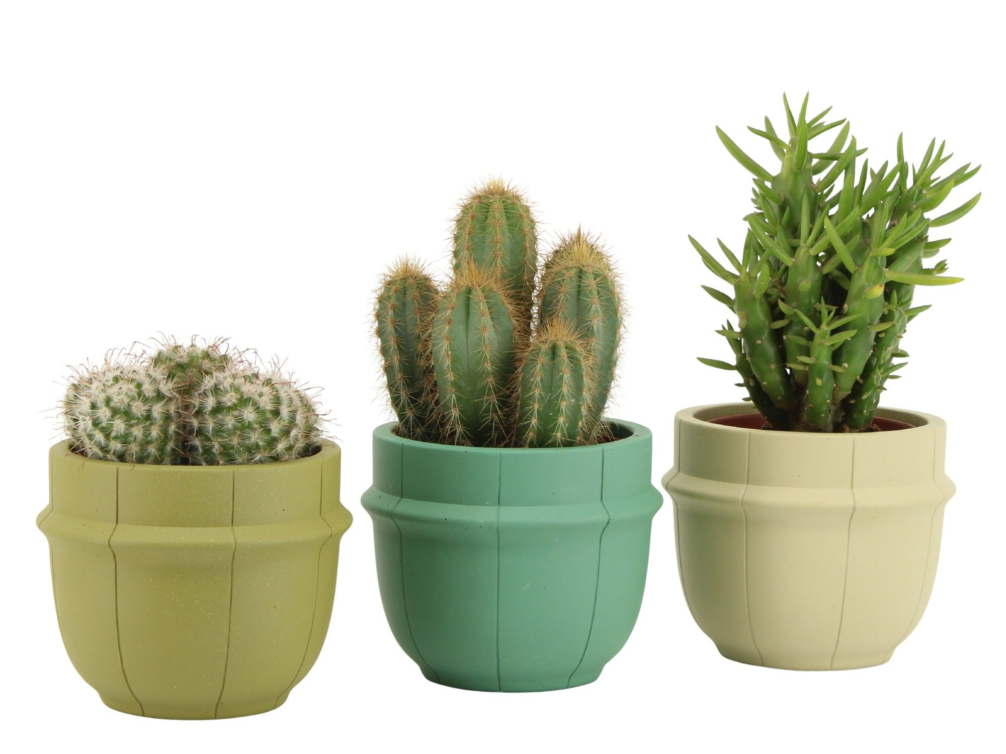 7501375: Solutionss Consideration, D 8,5