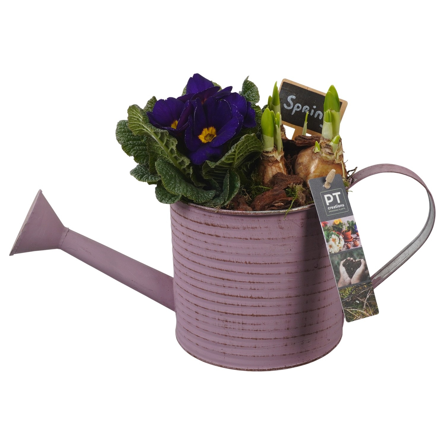 PTBM3736 Arrangement Flower Bulbs Mix in metalen gieter, D 14