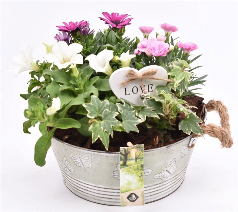 Zink schaal vlinderopdr. 27cm, D 27