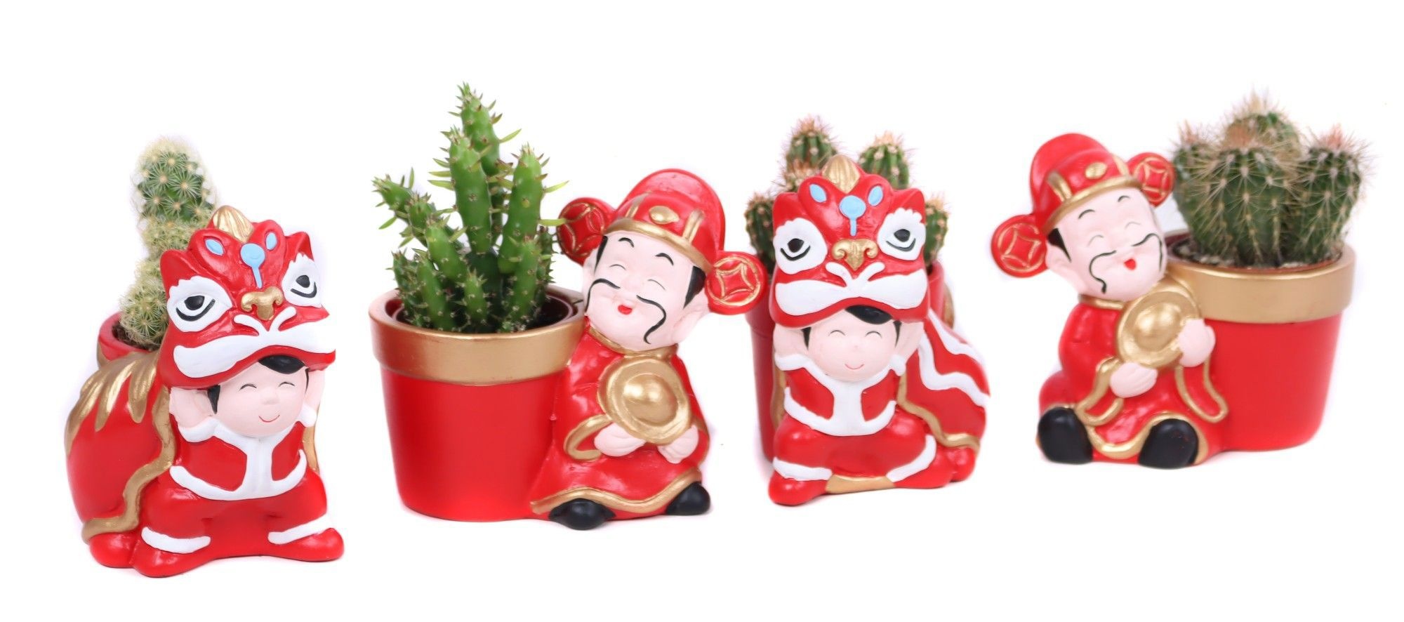 Cactus 5,5 cm in Chongqing planter, D 11