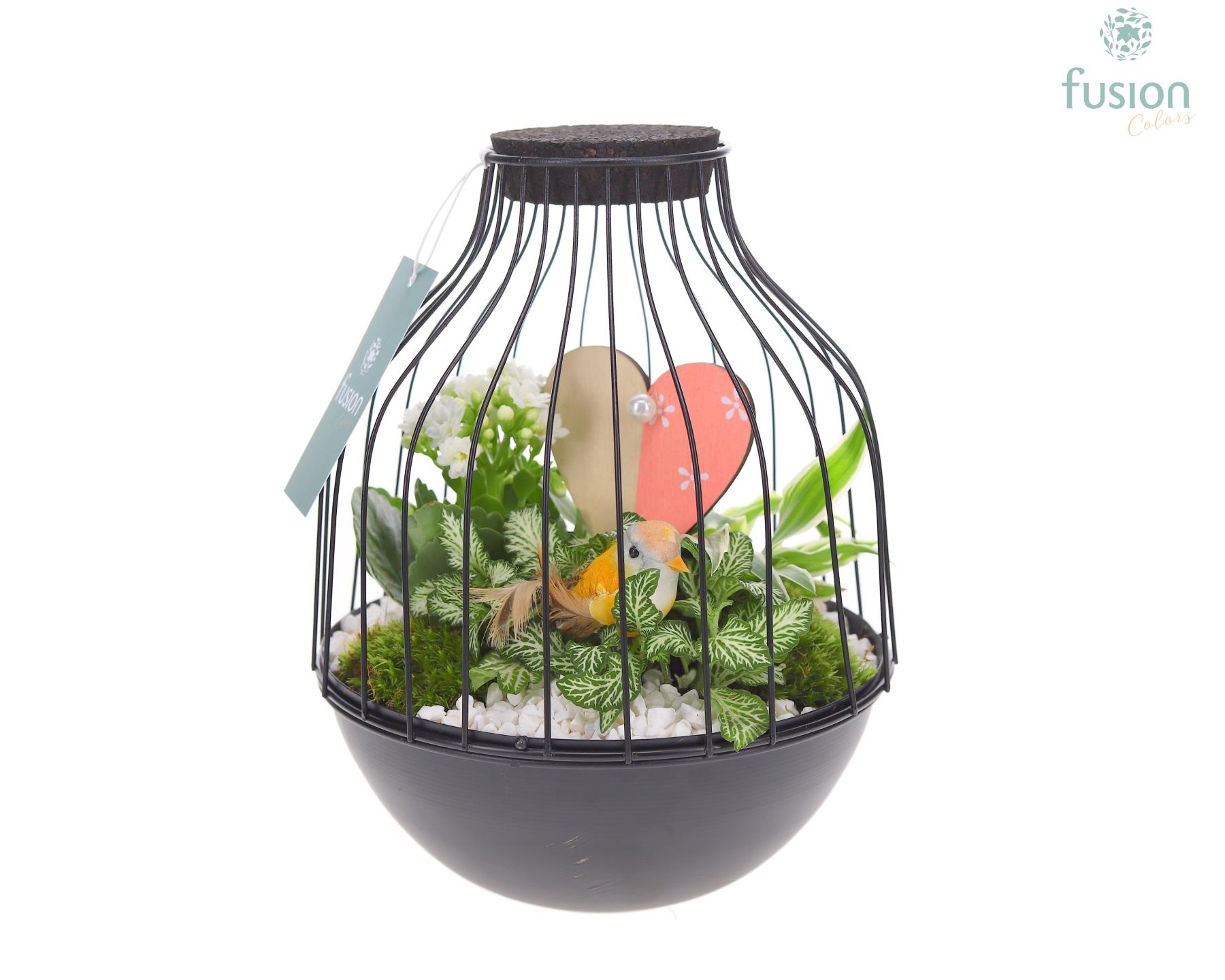 Vogelkooi metaal zwart Medium Love met arrangement, D 19