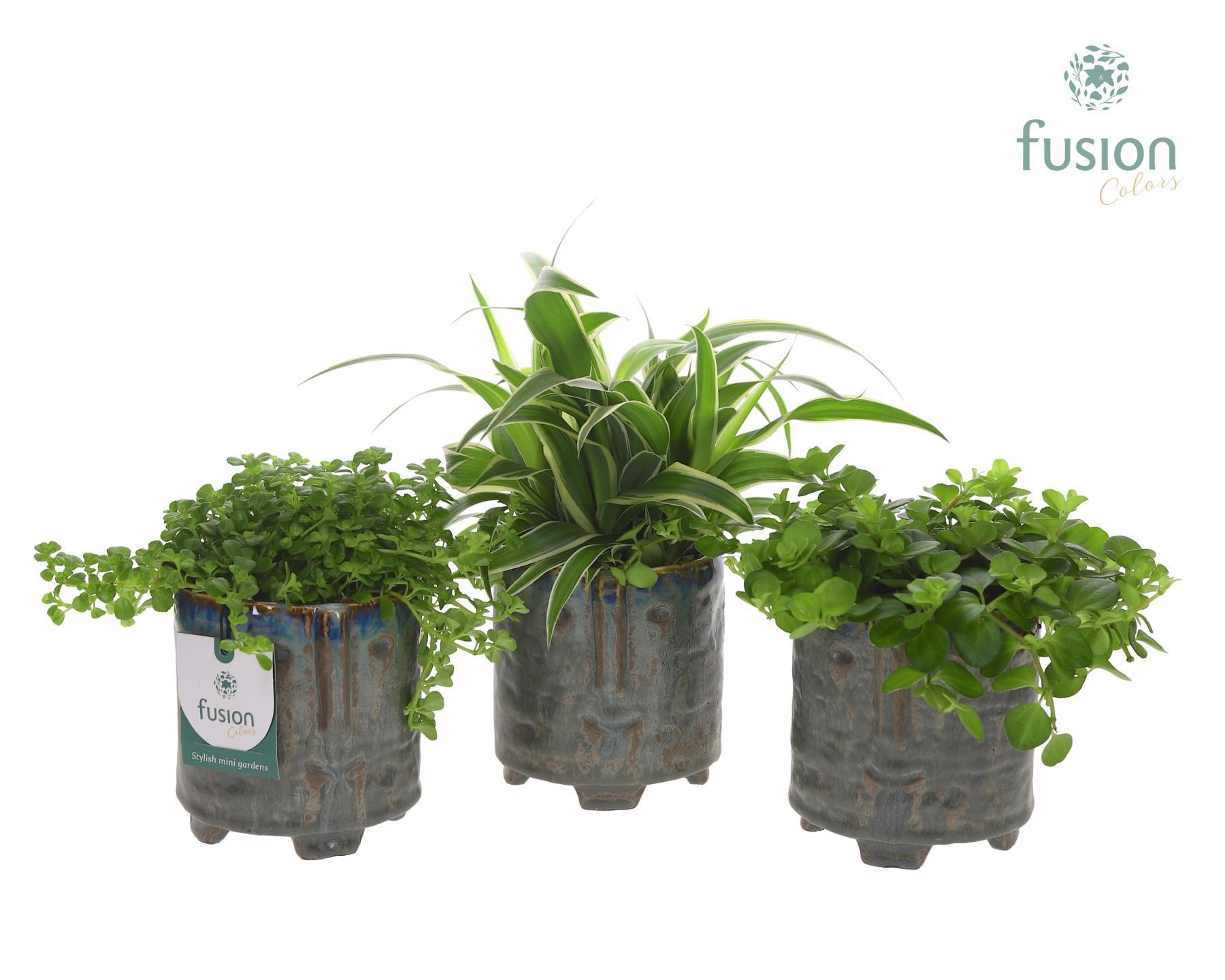 Pot op voet keramiek Medium met Groen plant, D 9