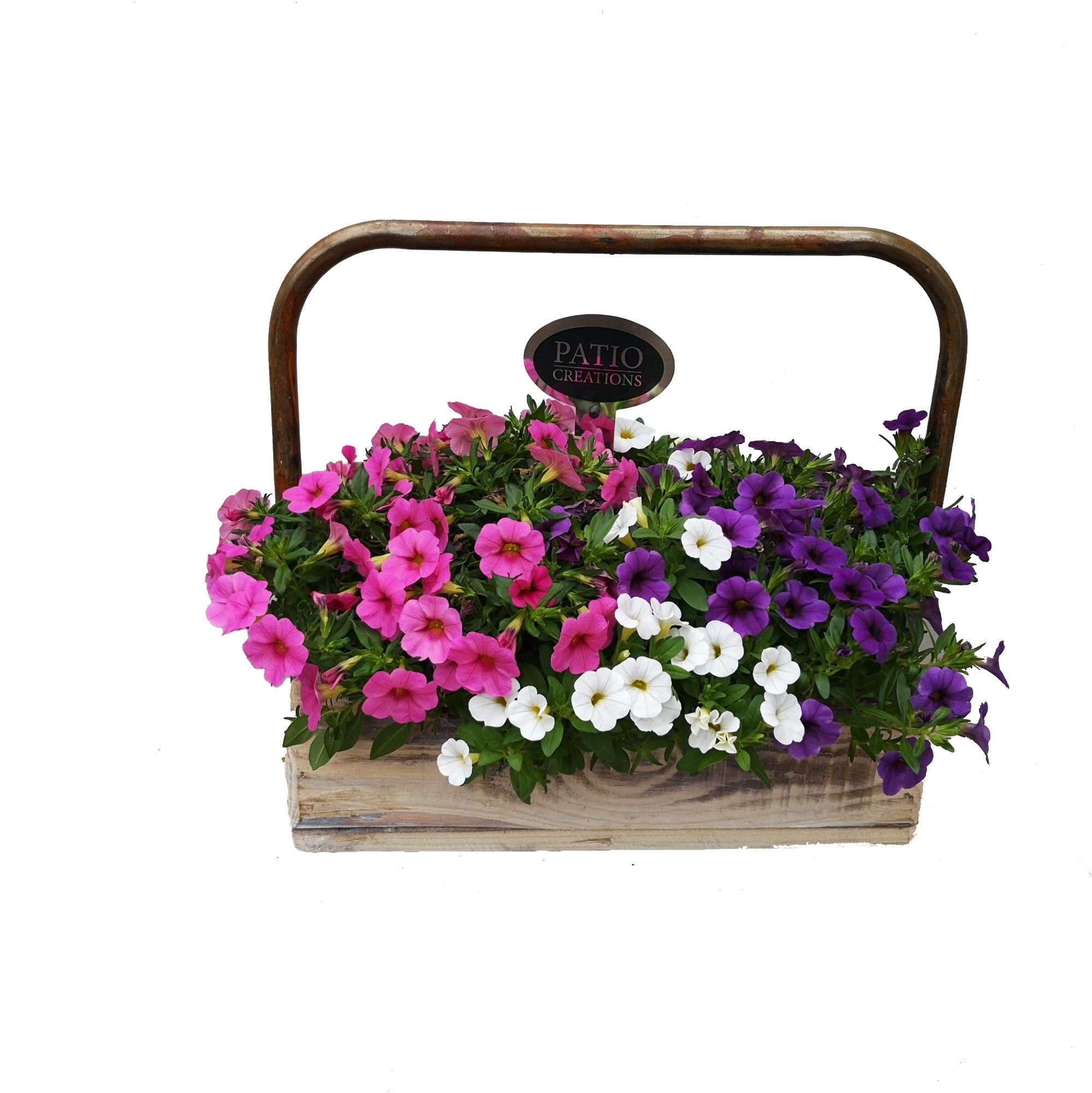 PRN671-9003 Primula en Narcis dennenhout metaal hengsel M, D 32