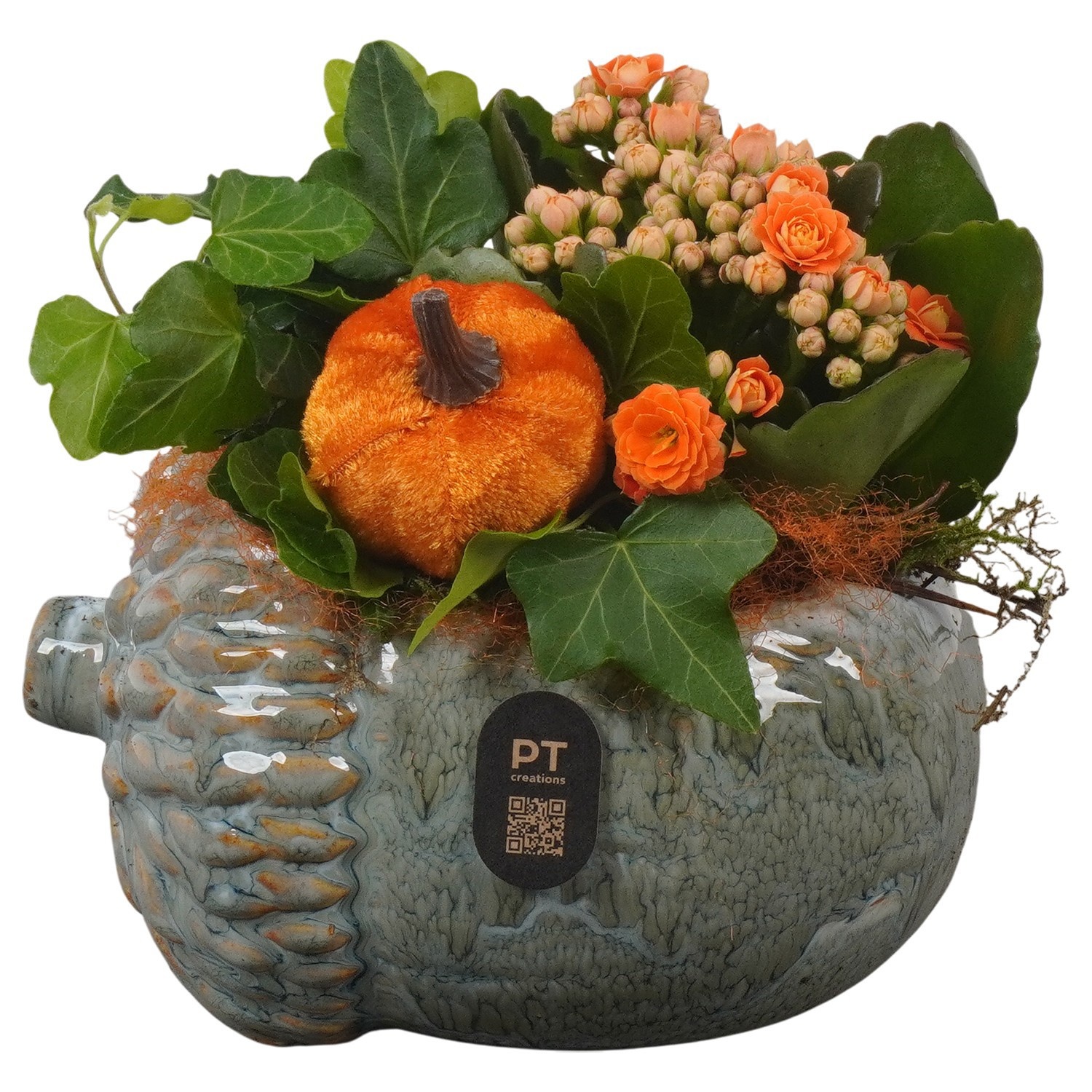 PTHI3264 Arrangement Autumn Indoor in keramiek pot in noot vorm, D 15