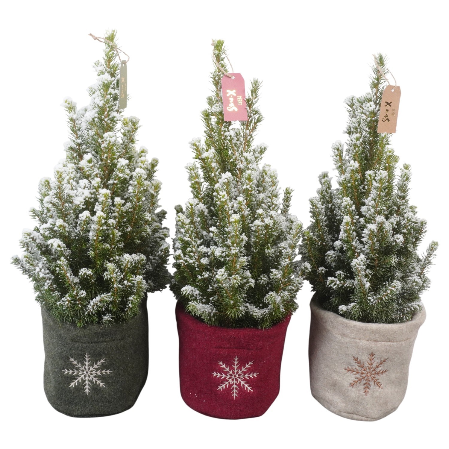 PTK26338 Conica Perfecta met sneeuw in stoffen potcover mix met decoratie, D 13