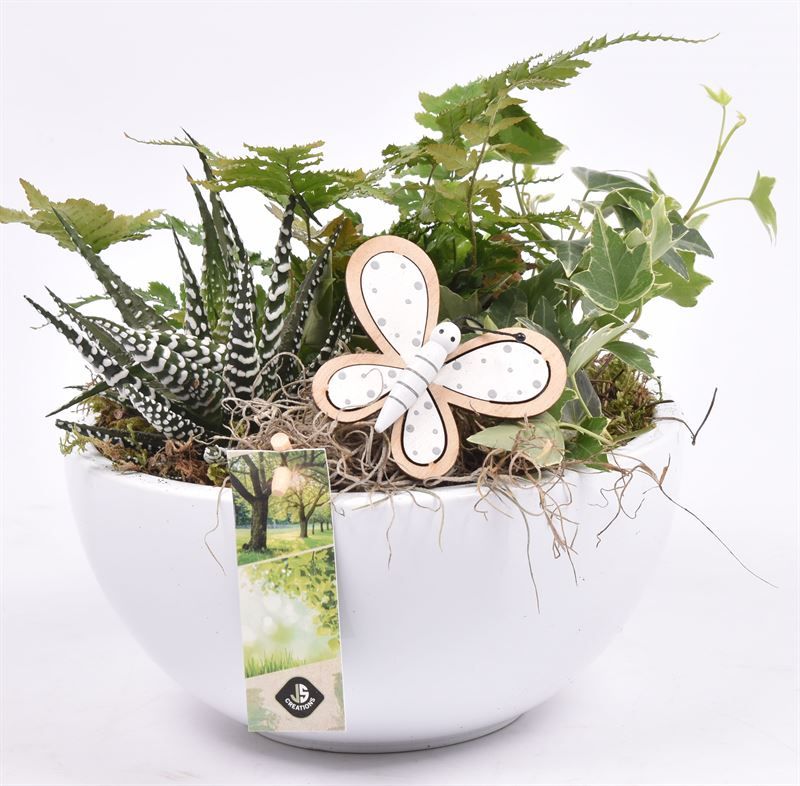 Keramiek schaal wit 20cm, D 20