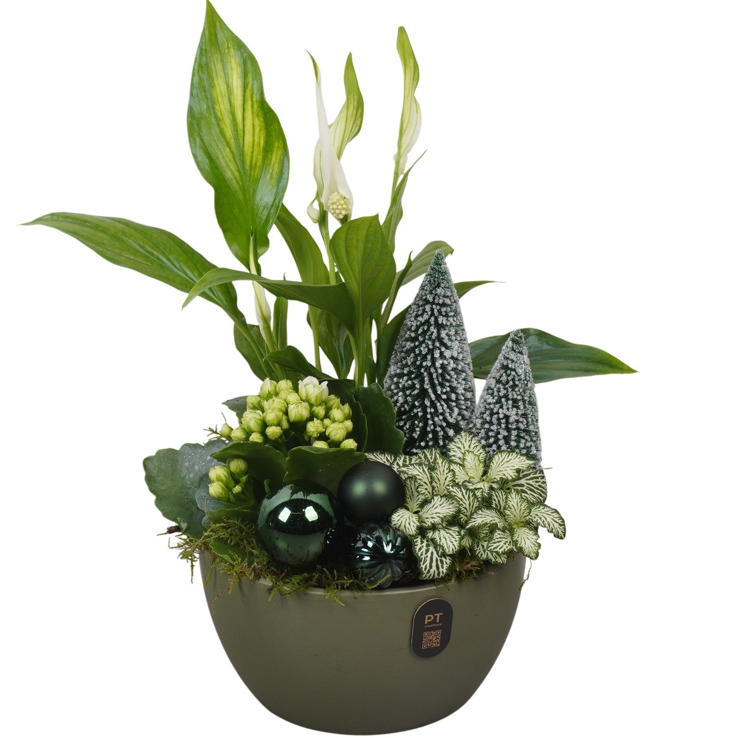 PTCHGR1946 Arrangement Christmas Green in keramiek schaal, D 16