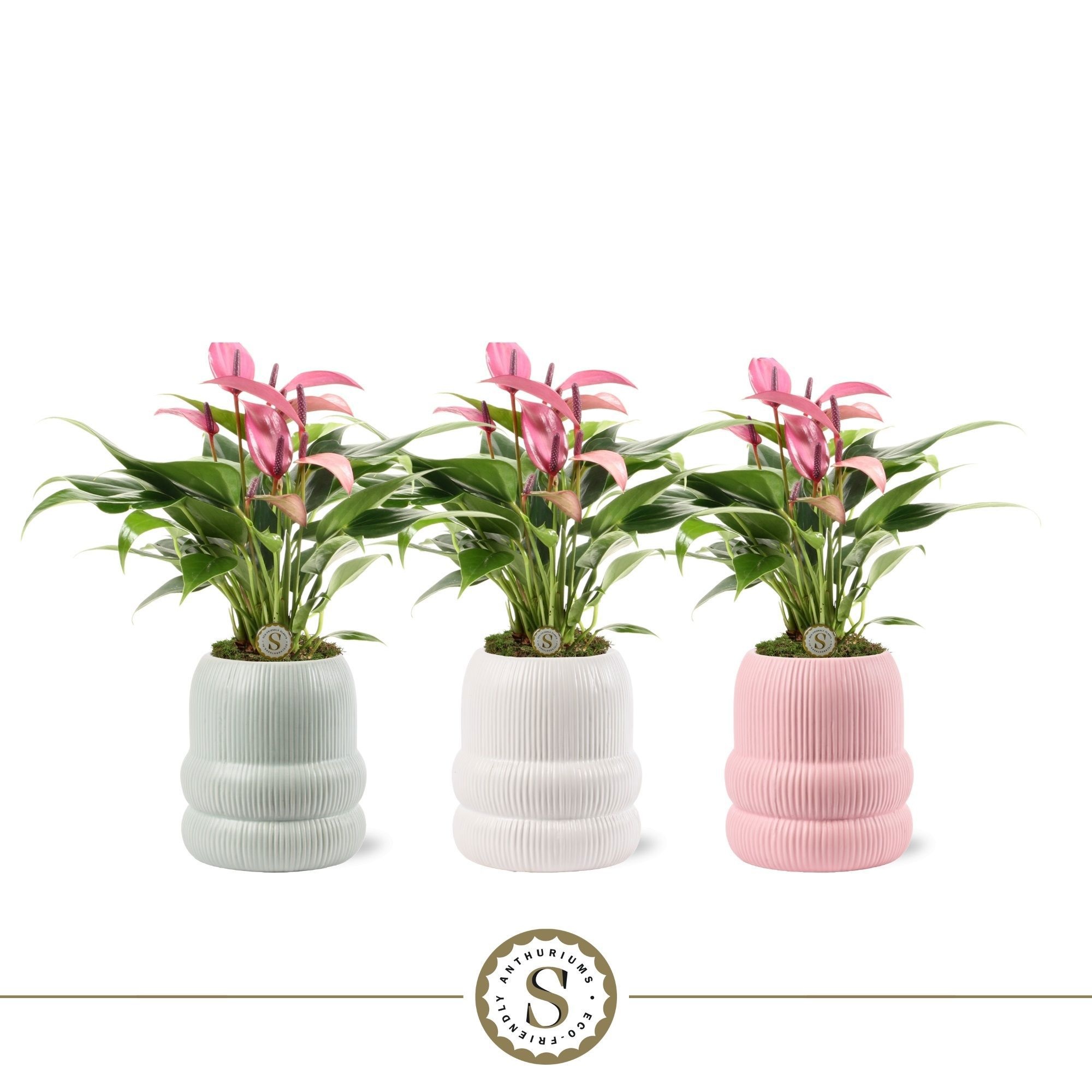 Helsinki Keramiek Zizou, D 9