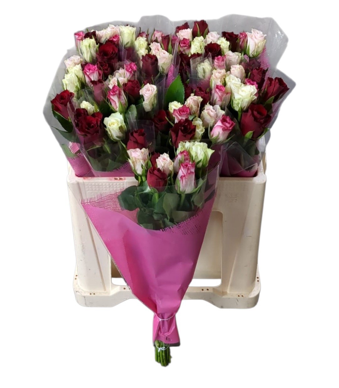 Роза од. Микс в пачке 50, шт.